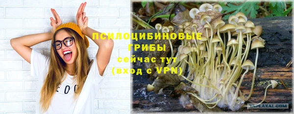 эйфоретик Приозерск