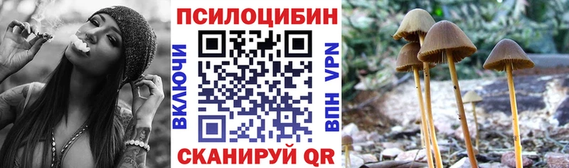 Псилоцибиновые грибы GOLDEN TEACHER  закладки  Спас-Деменск 